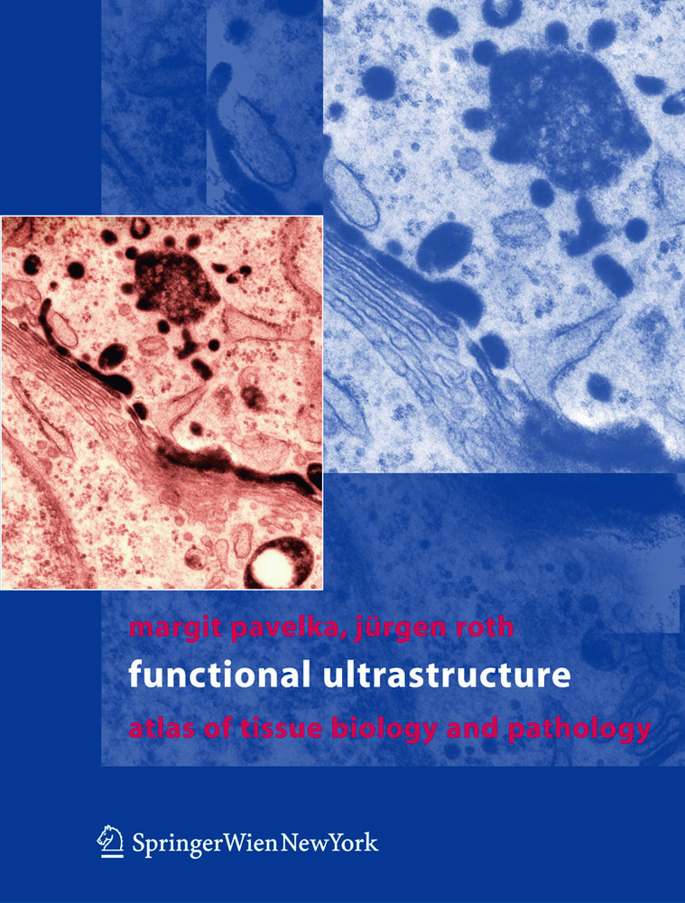 Functional Ultrastructure