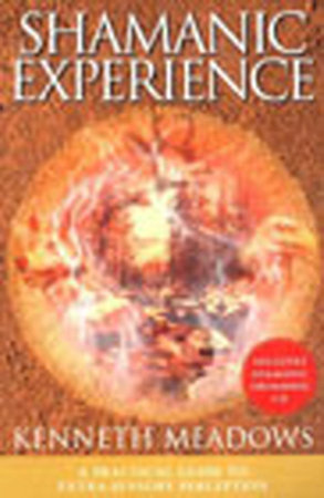 Shamanic Experience