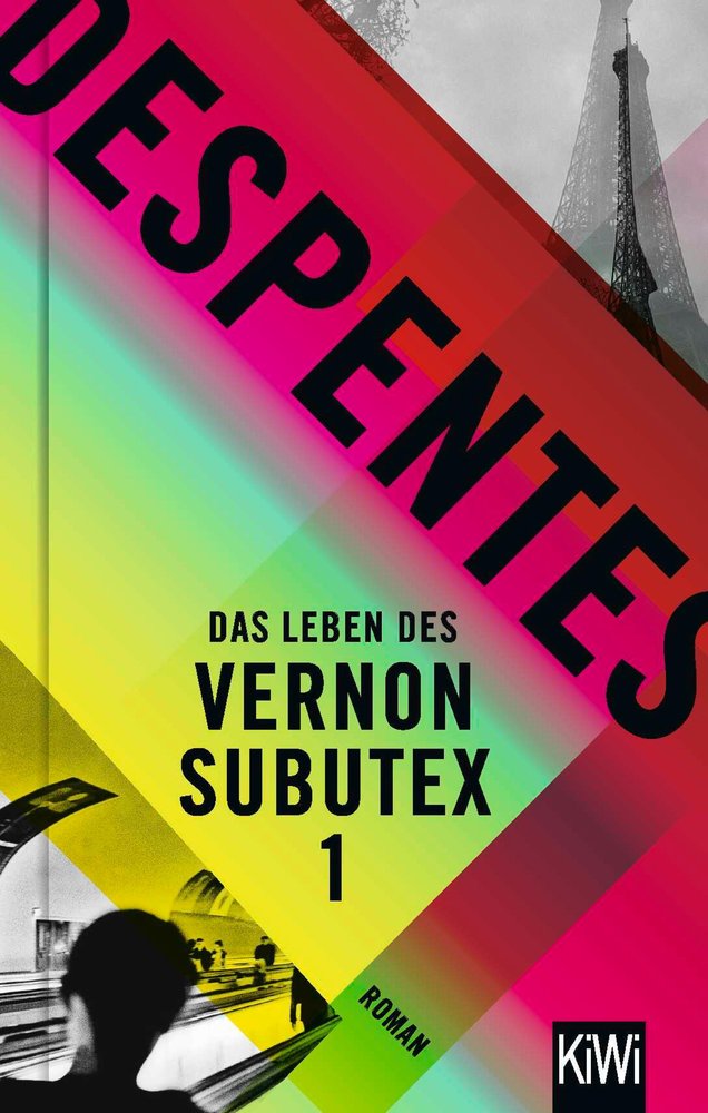 Das Leben des Vernon Subutex 1