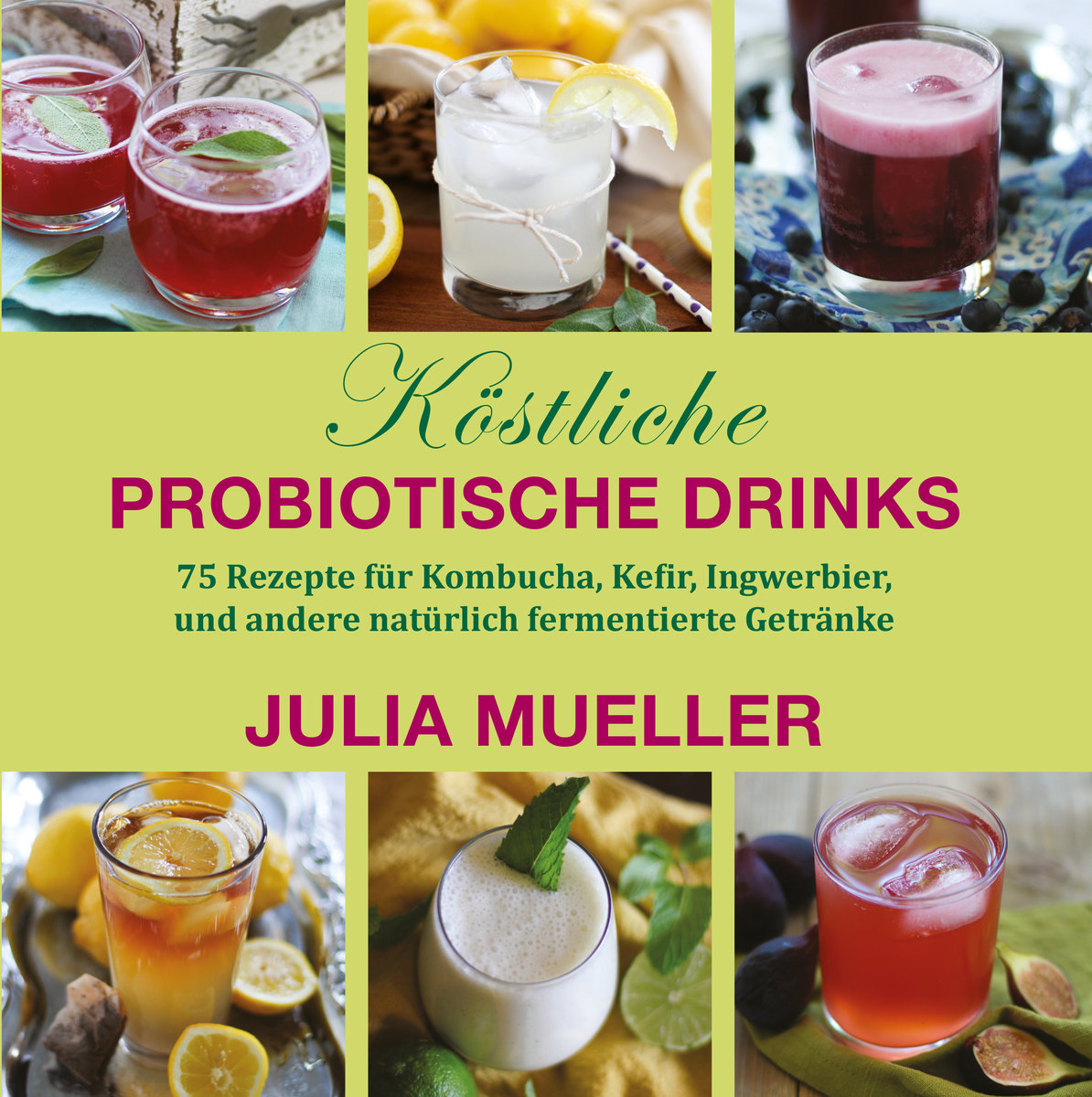 Köstliche Probiotische Drinks