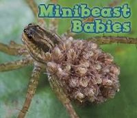 Minibeast Babies