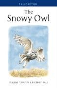 The Snowy Owl