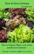 How to Grow Lettuce (Growing Guides)