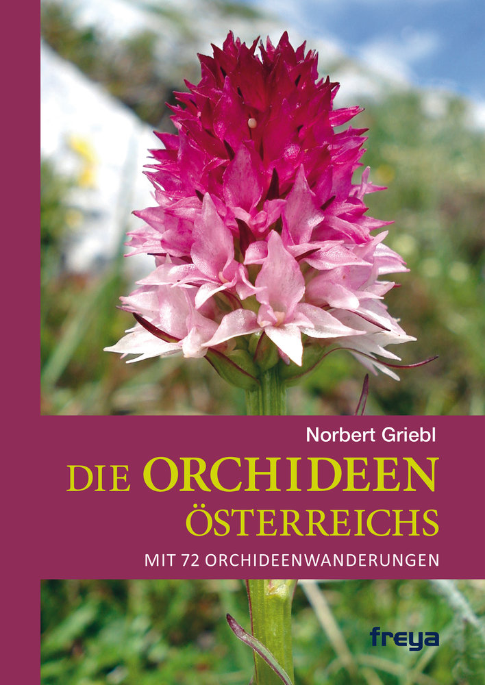 Die Orchideen Österreichs