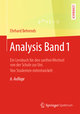 Analysis Band 1