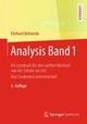 Analysis Band 1