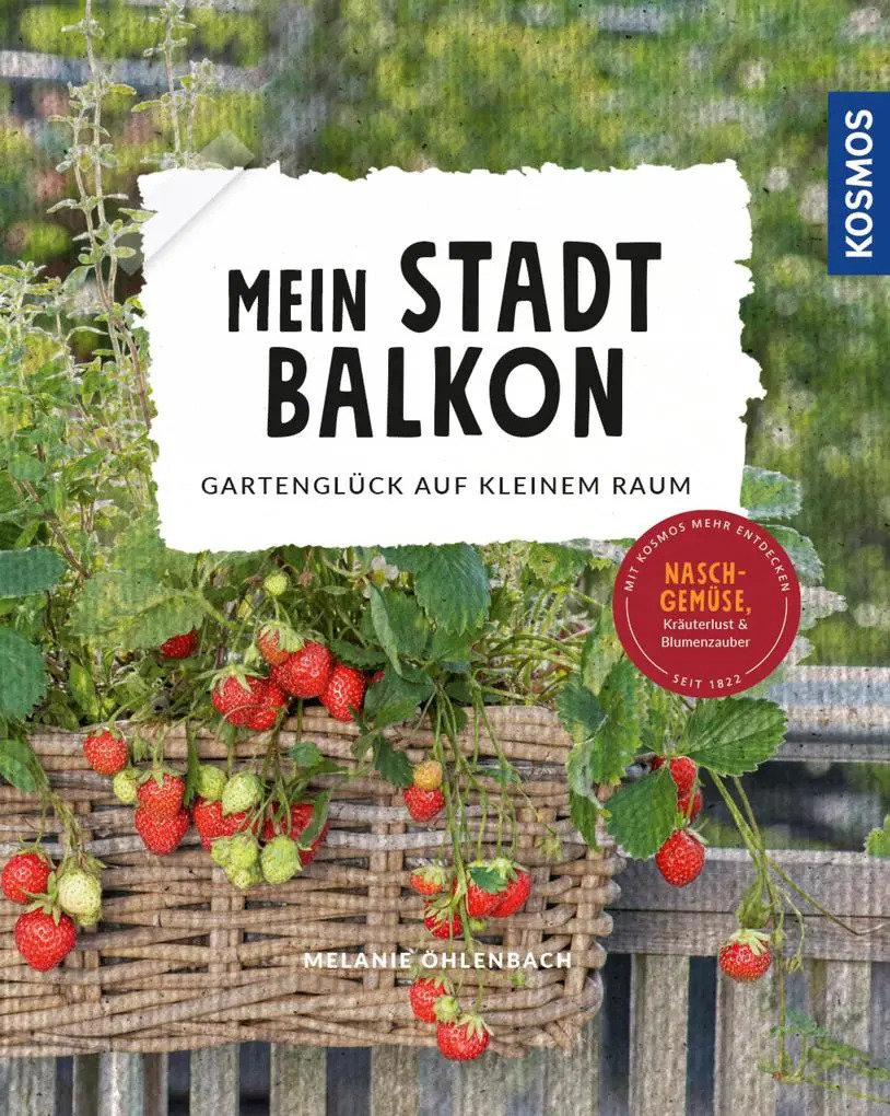 Mein Stadtbalkon