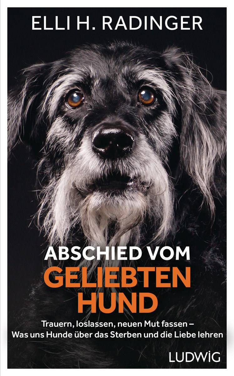 Abschied vom geliebten Hund