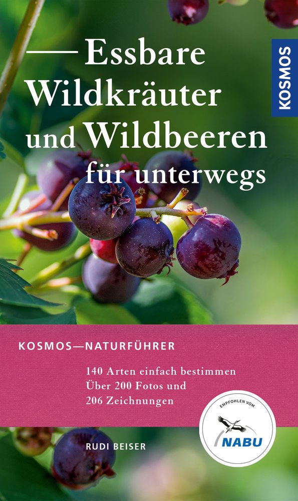 Essbare Wildkräuter und Wildbeeren für unterwegs