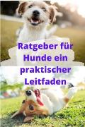 Ratgeber für Hunde ein praktischer Leitfaden