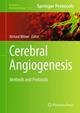 Cerebral Angiogenesis