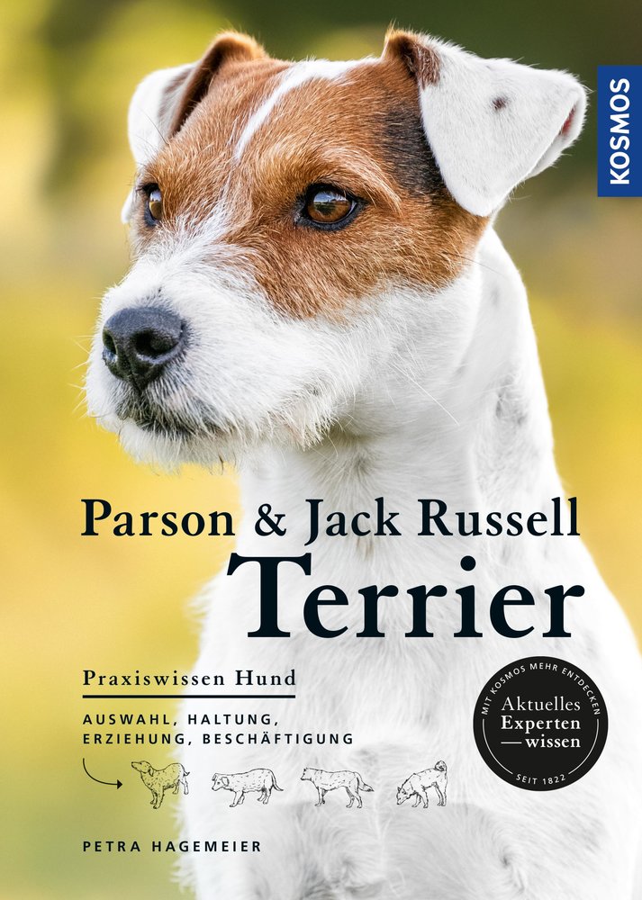 Parson und Jack Russell Terrier