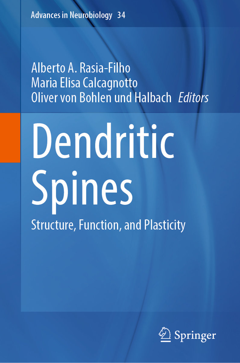 Dendritic Spines