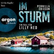 Im Sturm - Ein Fall für Lilly Hed. Der mitreißende Bestseller aus Schweden