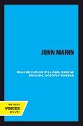 John Marin