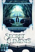 Secret Elements 8: Im Zeichen des Zorns