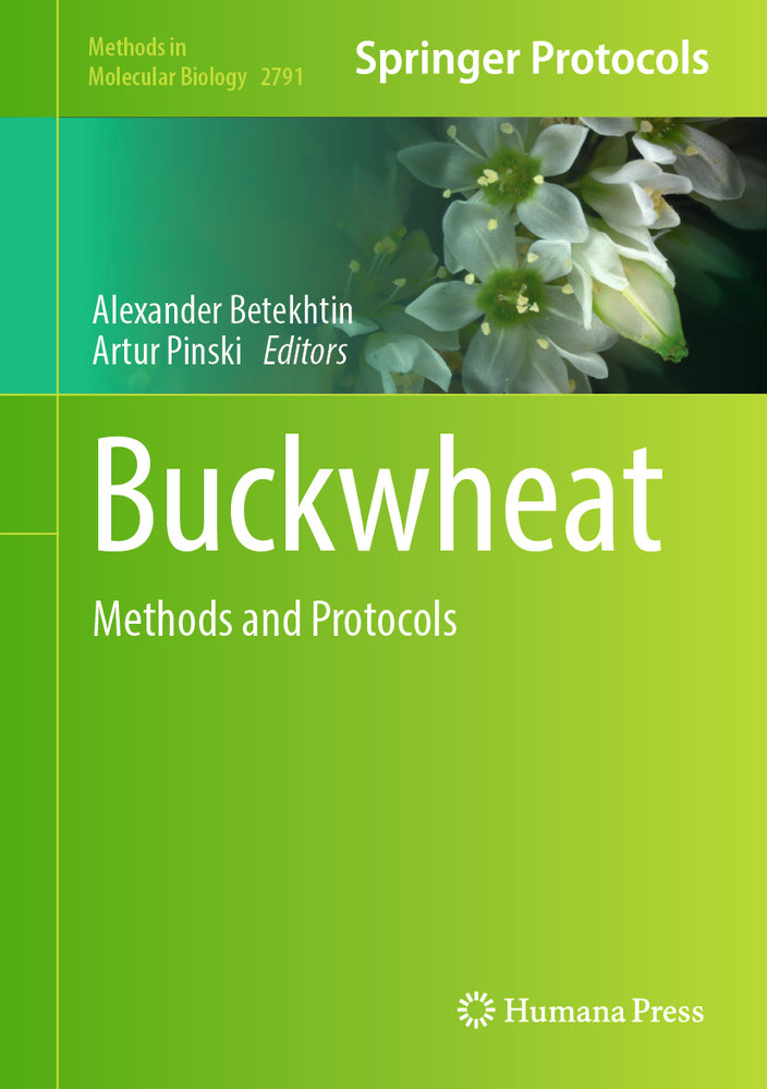 Buckwheat