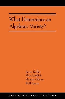 What Determines an Algebraic Variety?