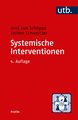 Systemische Interventionen