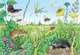 Ravensburger Kinderpuzzle - 05673 Tiere im Wald und auf der Wiese - 2x12 Teile + Wissensposter, Wieso? Weshalb? Warum? Puzzle für Kinder ab 3 Jahren