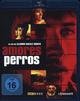 Amores Perros