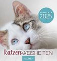 Wandkalender Katzenweisheiten 2025