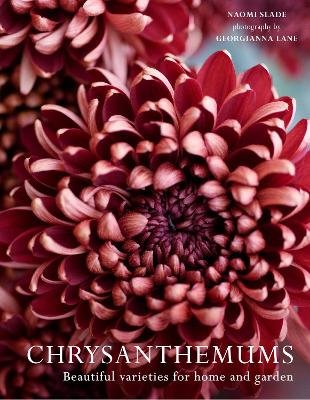 Chrysanthemums