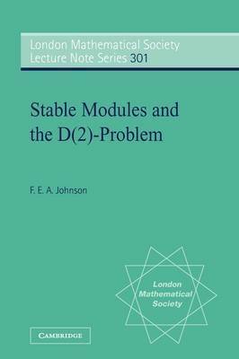 Stable Modules and the D(2)-Problem