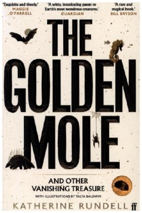 The Golden Mole