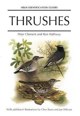 Thrushes