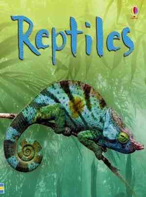 Reptiles