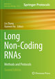 Long Non-Coding RNAs