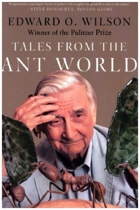 Tales from the Ant World