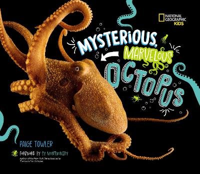 Mysterious, Marvelous Octopus!