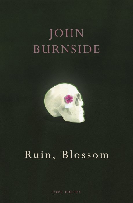 Ruin, Blossom