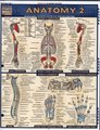 Anatomy 2 - Reference Guide