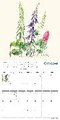 Royal Botanic Garden Edinburgh Wall Calendar 2025 (Art Calendar)