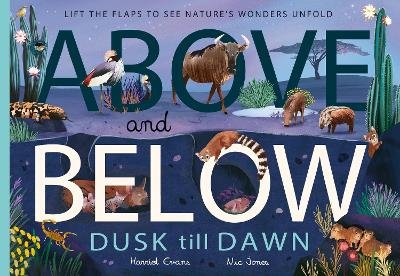 Above and Below: Dusk till Dawn