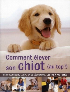 Comment élever son chiot (au top !)