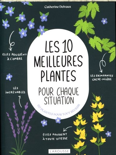 Les 10 meilleures plantes pour chaque situation