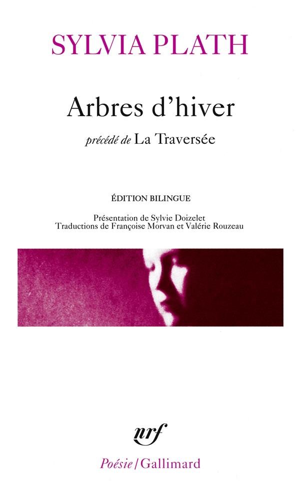 Arbres D'Hiver Traver