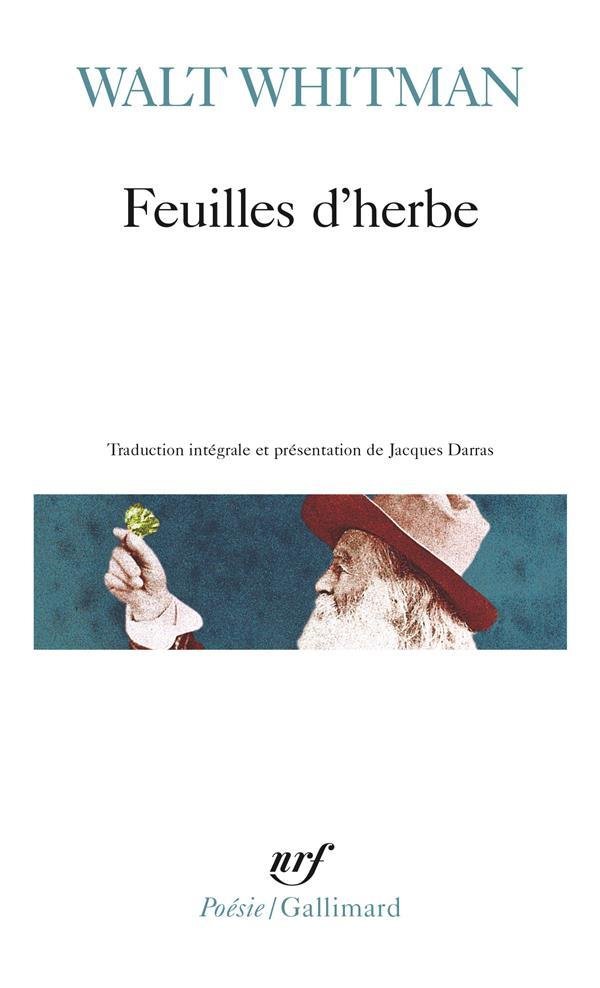 Feuilles D Herbe