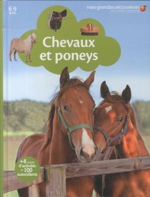 Chevaux et poneys