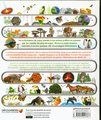 Chronologies visuelles de la nature