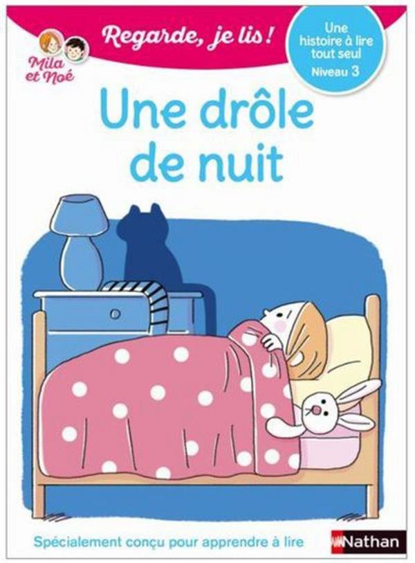 Une drôle de nuit : une histoire à lire tout seul, niveau 1