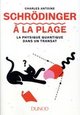 Schrödinger à la plage : la physique quantique dans un transat