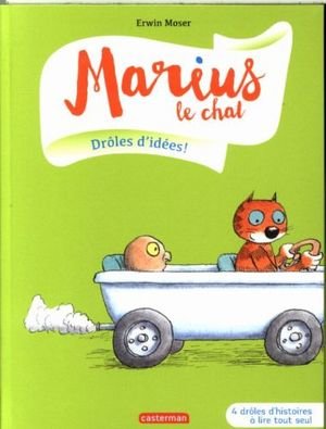 Marius le chat