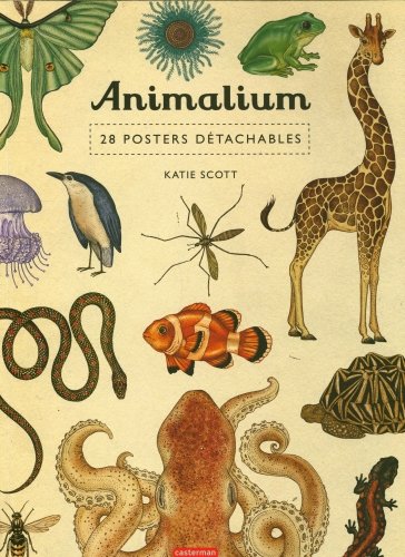 Animalium : 28 posters détachables