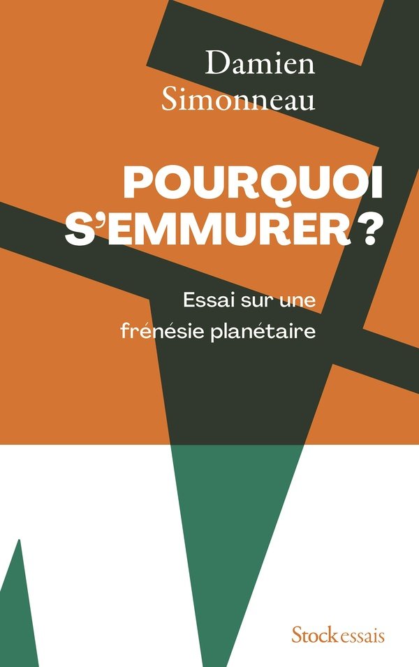 Pourquoi s'emmurer ? : essai sur une frénésie planétaire