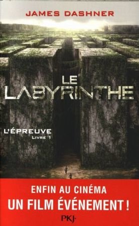 Le labyrinthe. Tome 1